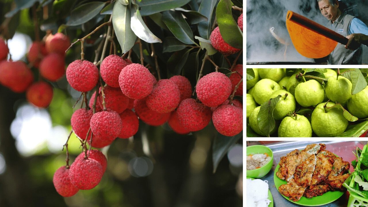 Thành phố Hải Phòng mới sau sáp nhập