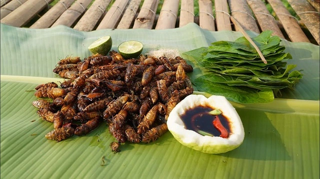 Lý do khiến thực khách muốn thử